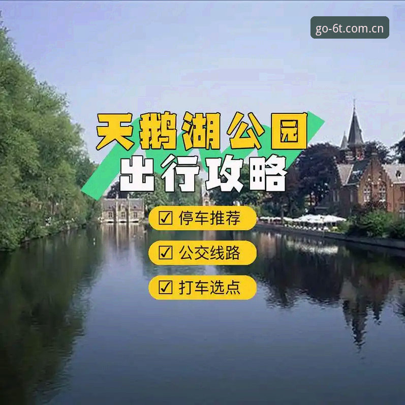 6t体育官网地址查询常见问题完整指南：快速找到官方入口的方法